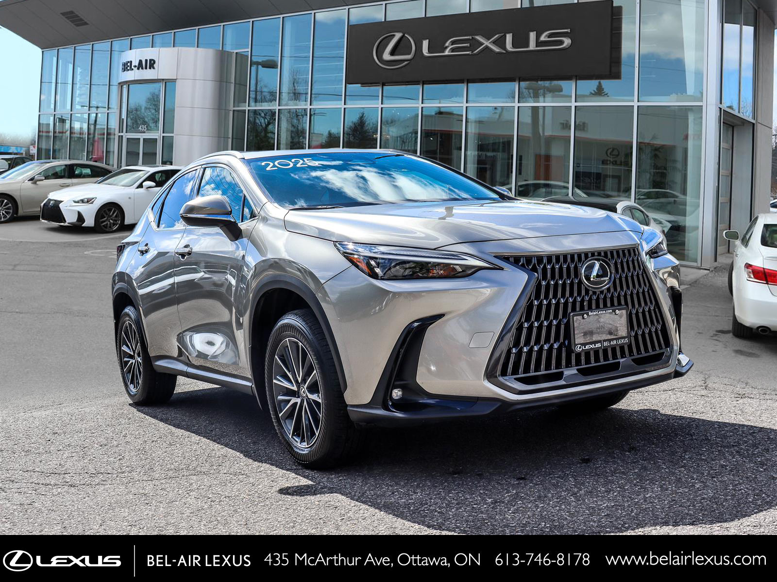 Lexus NX 350 2025 2