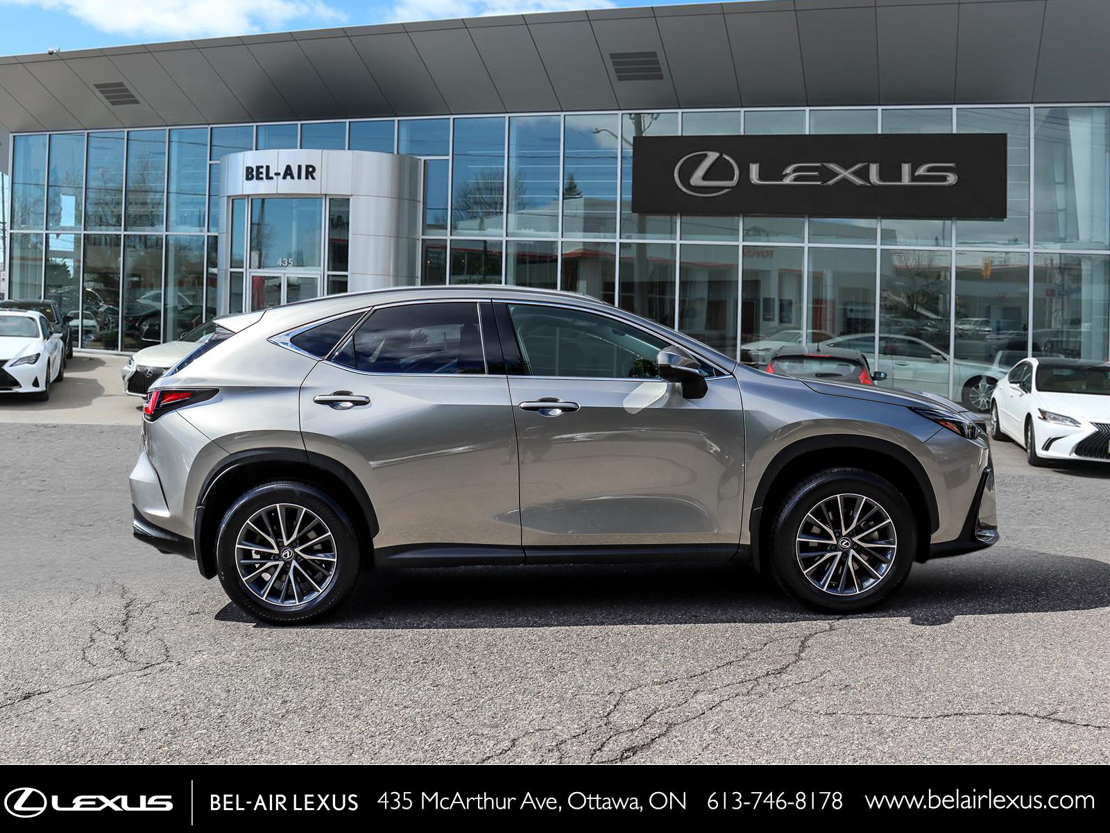Lexus NX 350 2025 3