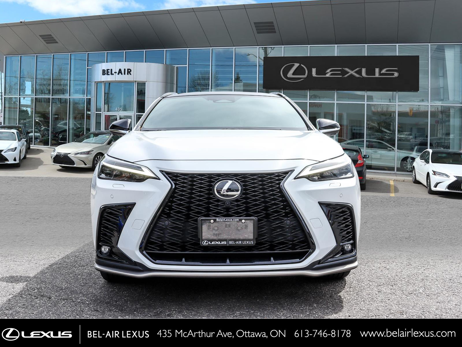 Lexus NX 350 2023 1