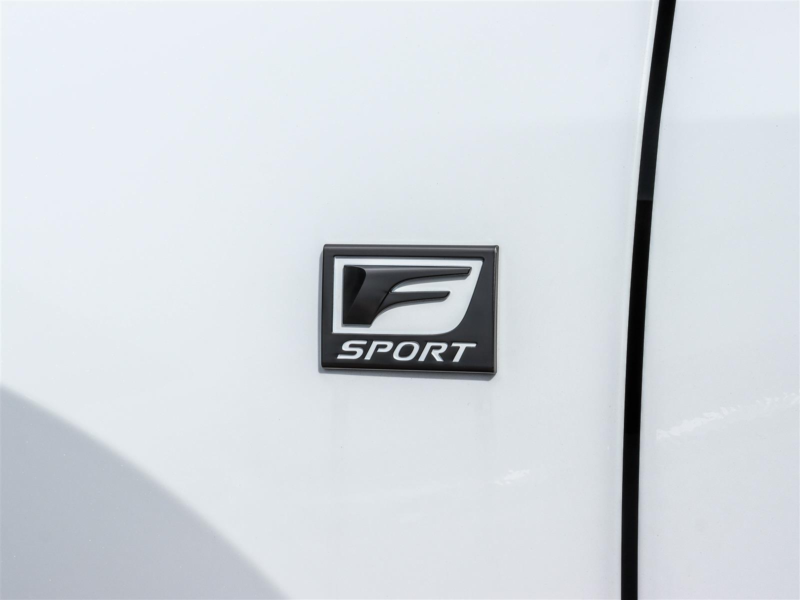 Lexus NX 350 2023 24
