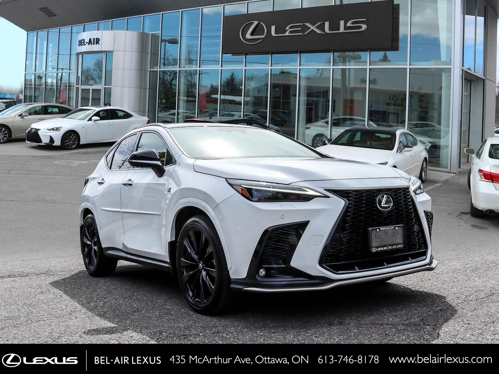 Lexus NX 350 2023 2