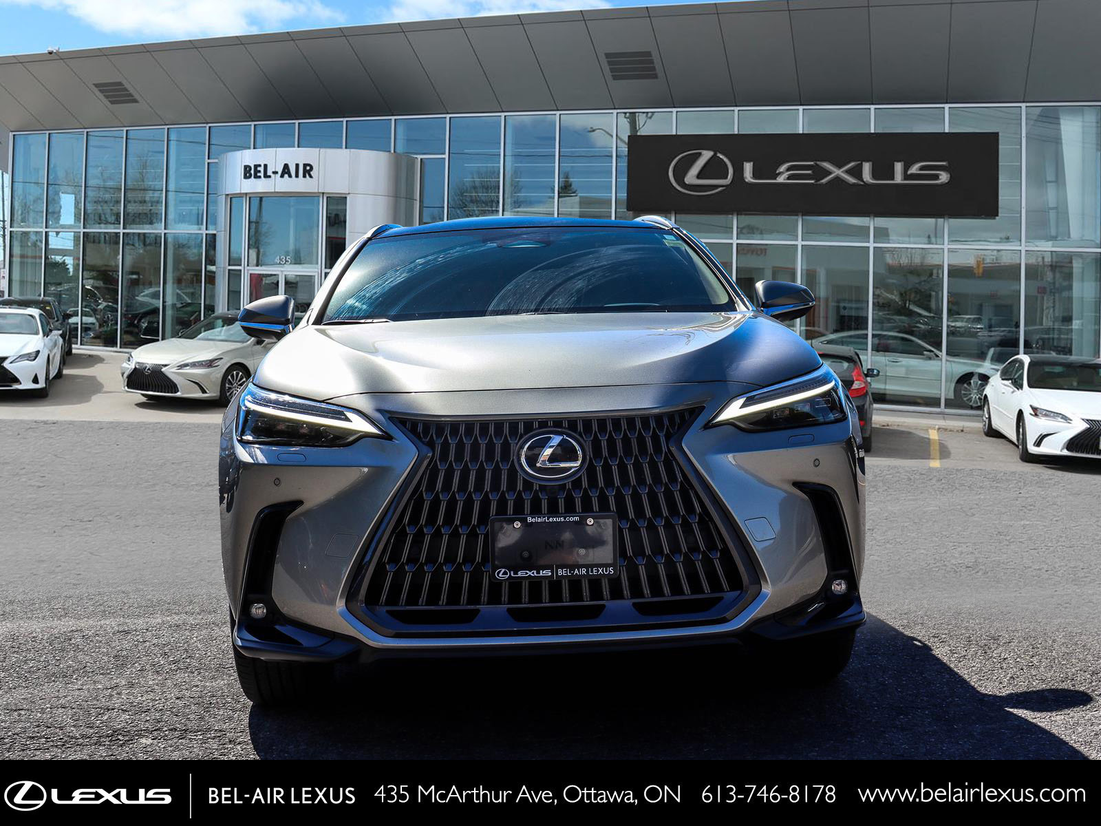 Lexus NX 350h 2026 1