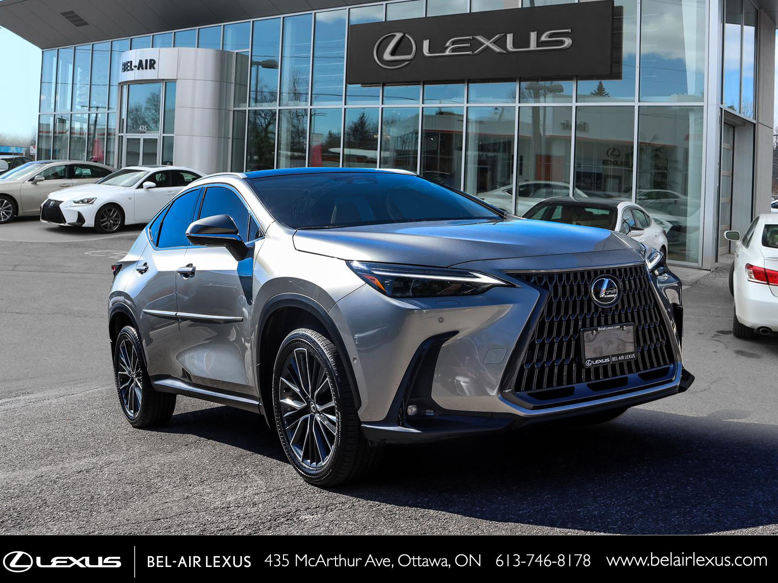 Lexus NX 350h 2026 2