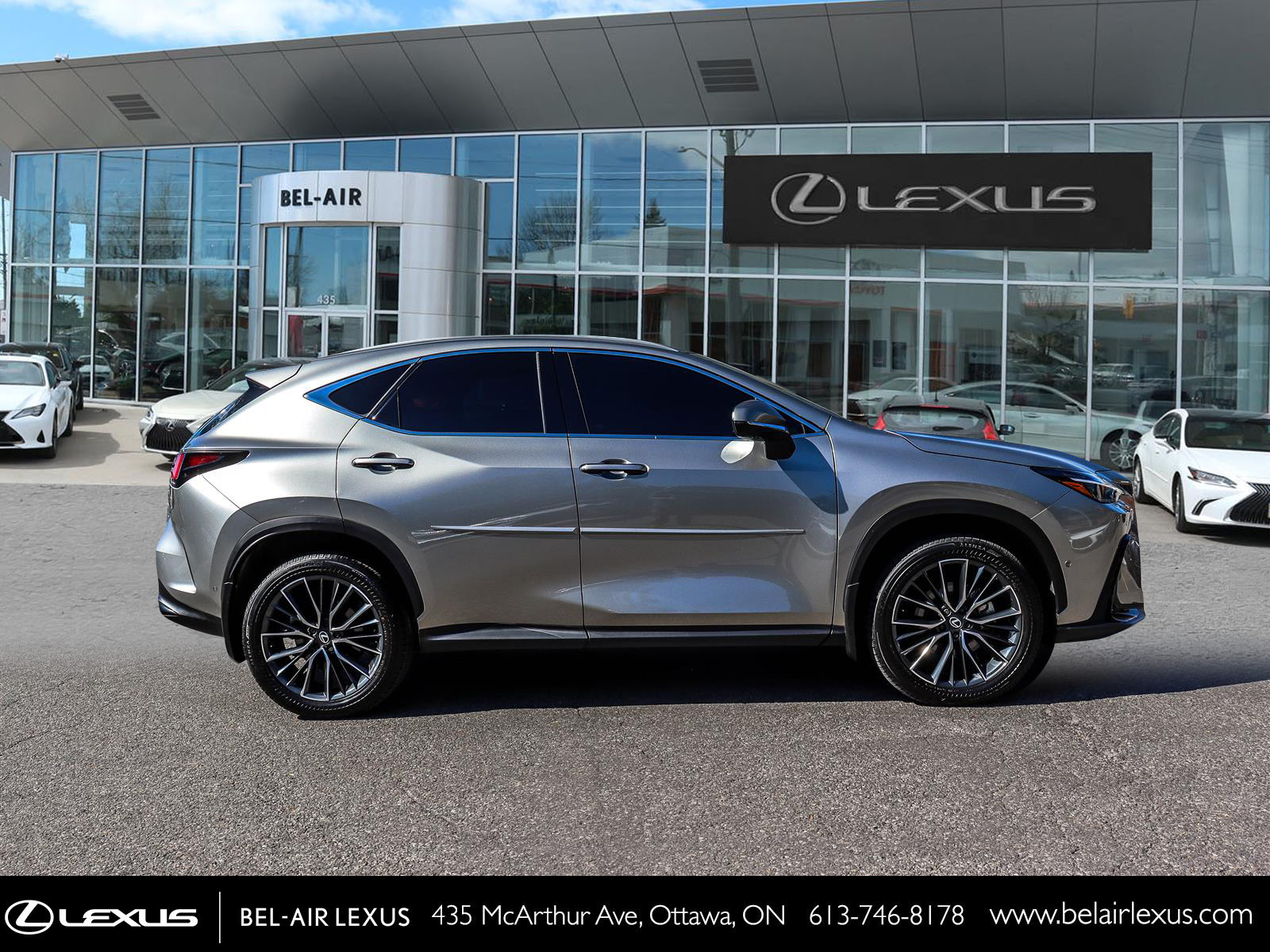 Lexus NX 350h 2026 3