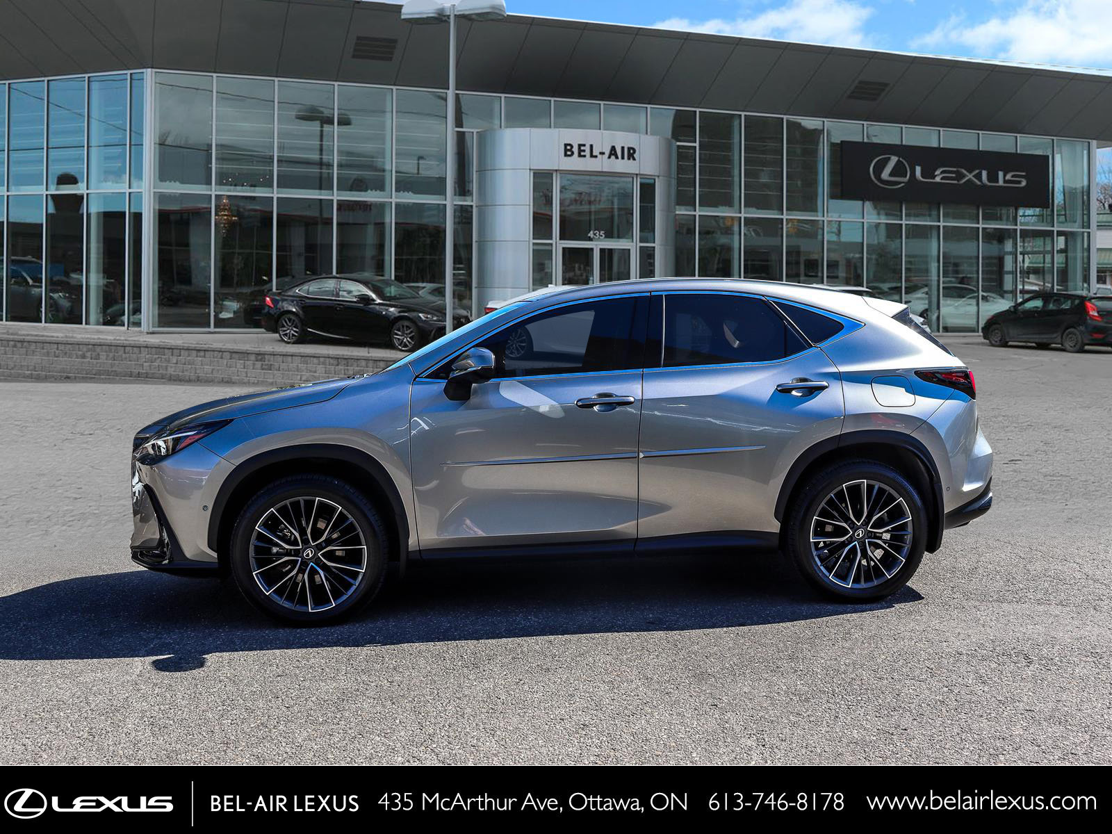 Lexus NX 350h 2026 7