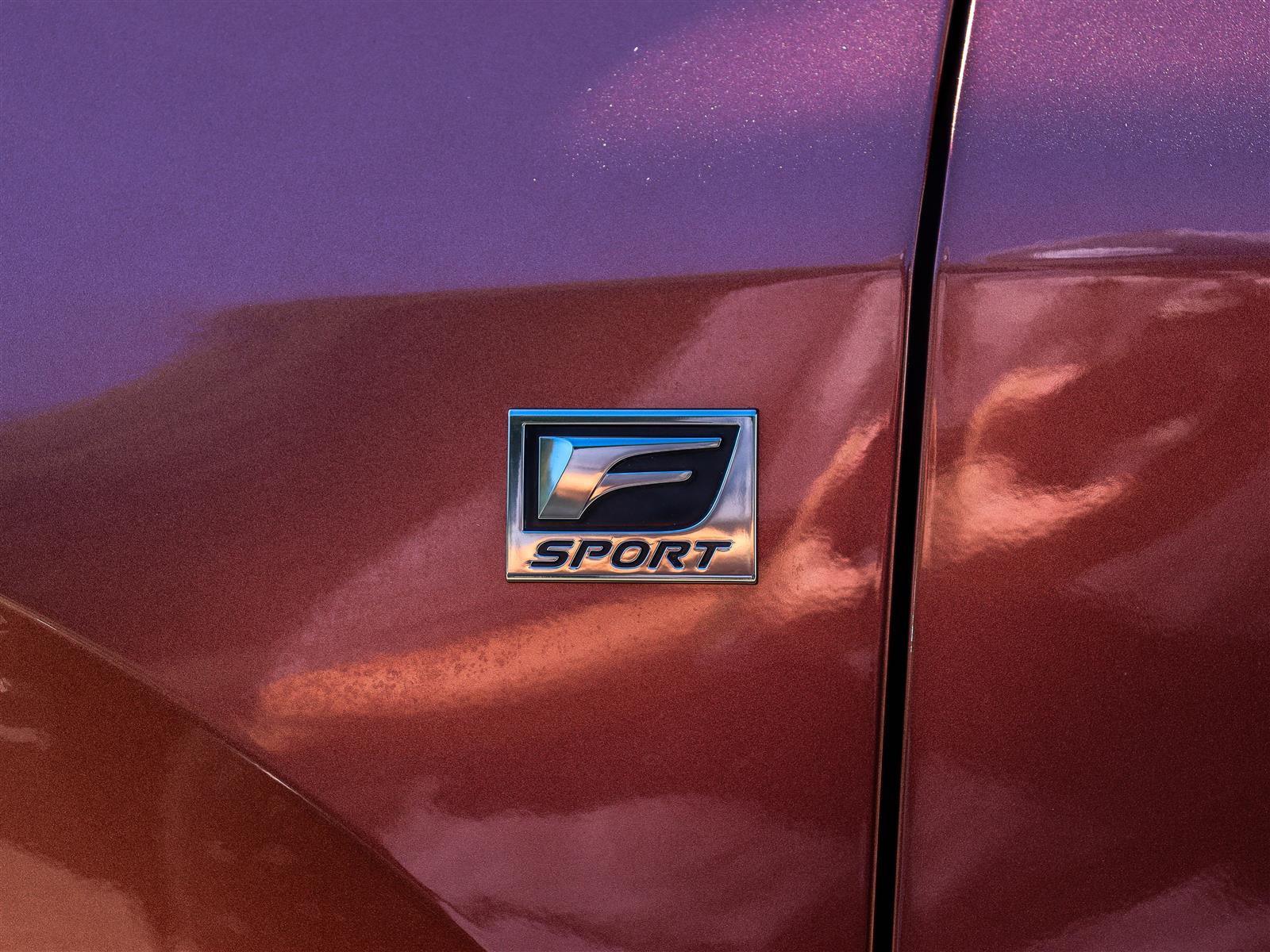 Lexus RX 500H 2023 25