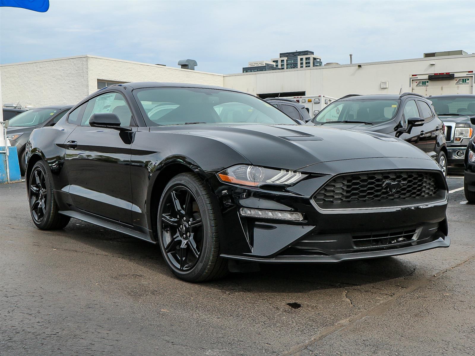 Leggat Discovery Ford | 2019 Ford Mustang EcoBoost® Shadow Black, 2.3L ...