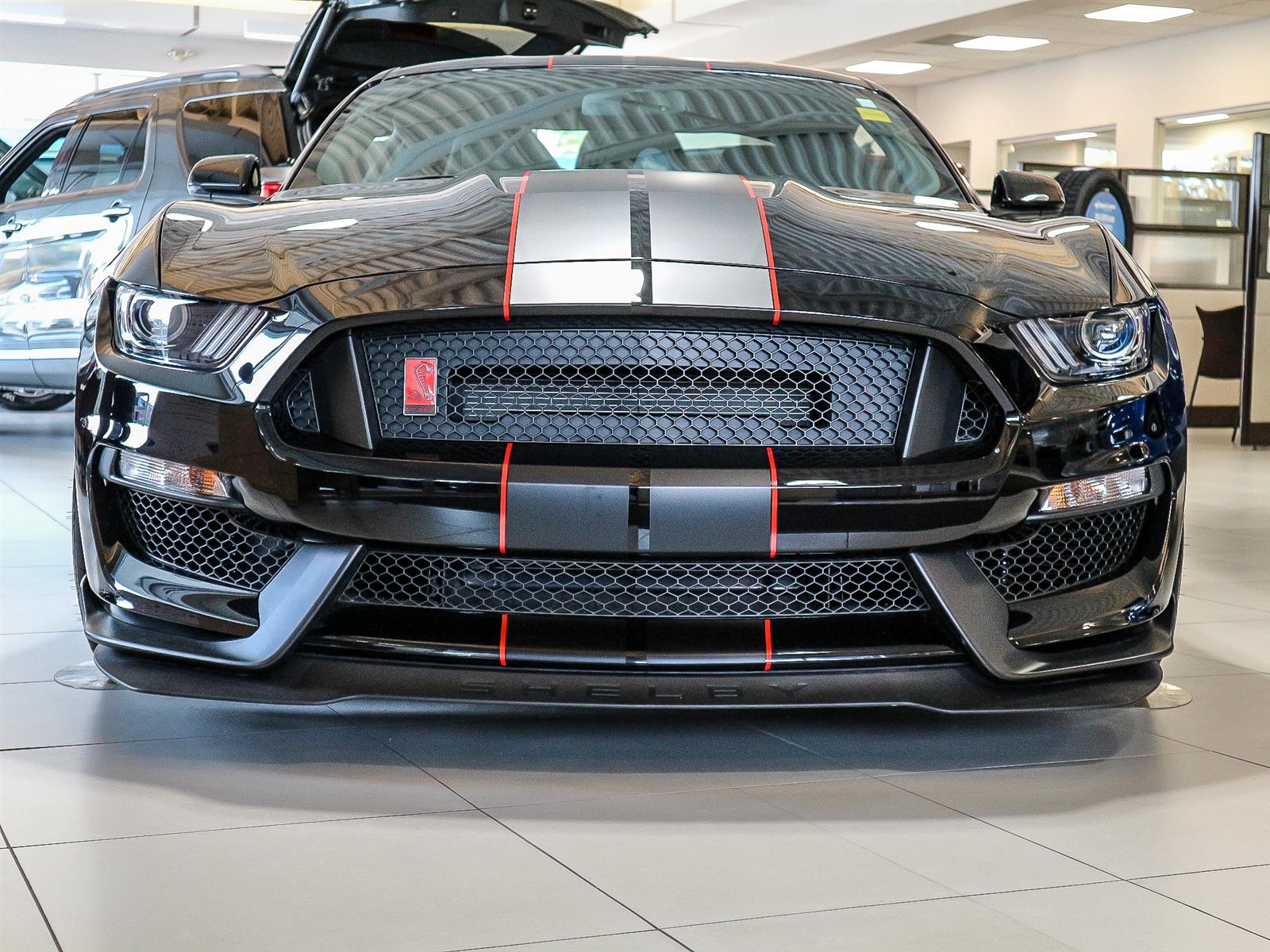 Leggat Discovery Ford | 2019 Ford Mustang Shelby® GT350R Shadow Black ...