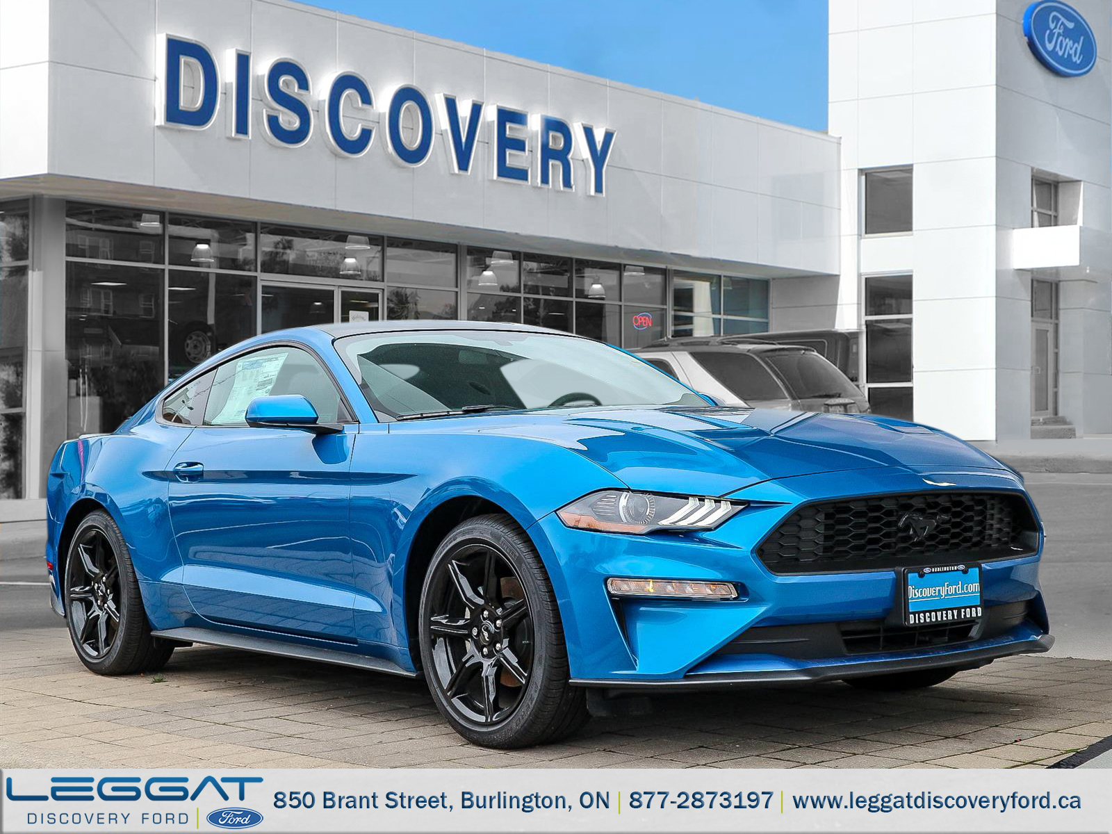 Leggat Discovery Ford | 2019 Ford Mustang EcoBoost® Velocity Blue, 2.3L ...