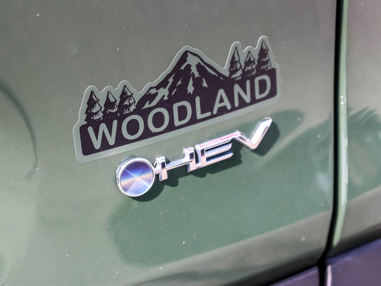 2025 Toyota RAV4 Hybrid XLE Woodland Edition - Thumbnail 20