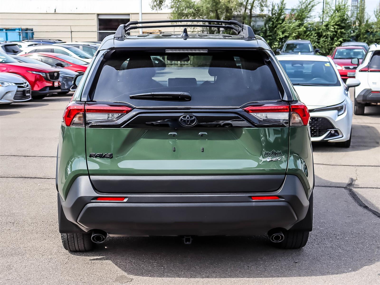 2025 Toyota RAV4 Hybrid XLE Woodland Edition - Thumbnail 4