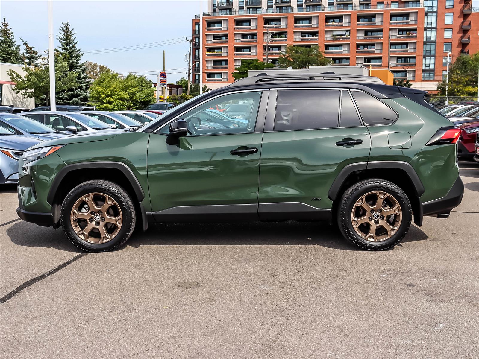 2025 Toyota RAV4 Hybrid XLE Woodland Edition - Thumbnail 5