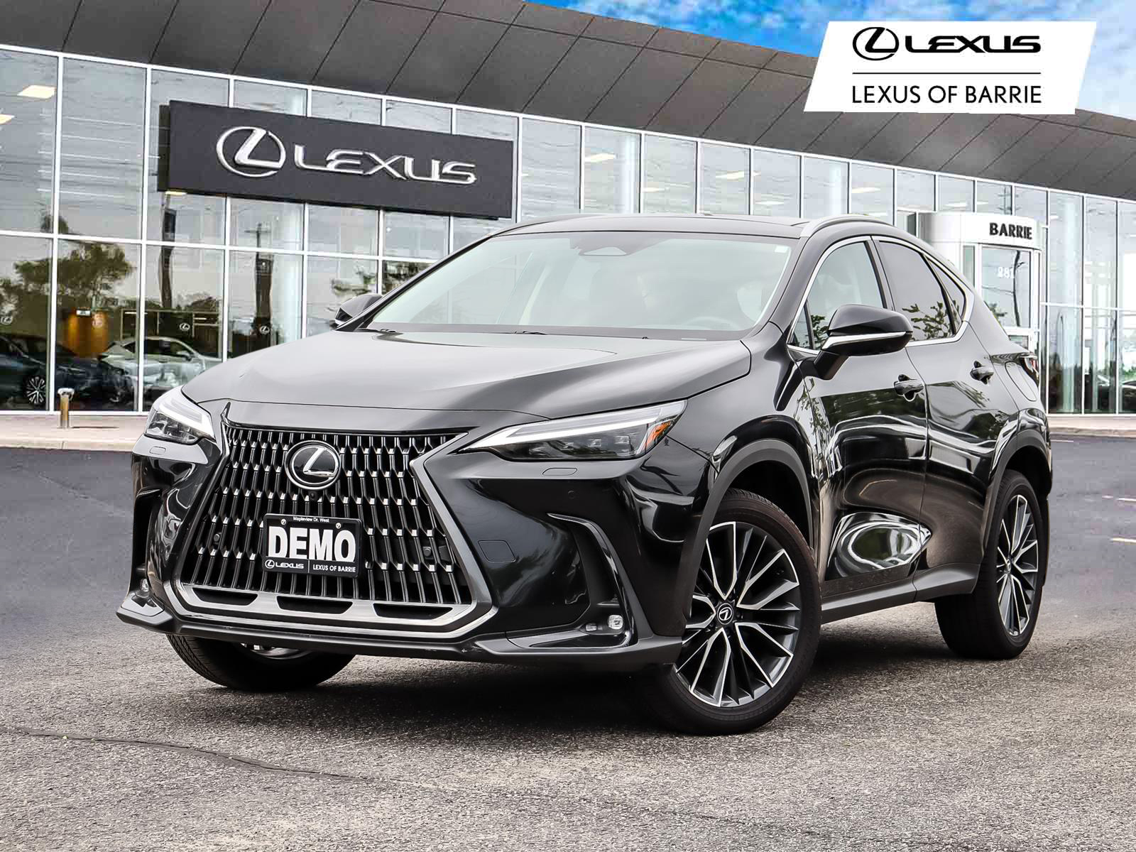 2024 Lexus NX NX 350 - Main View