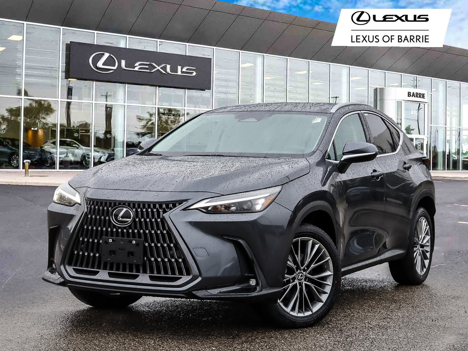 2026 Lexus NX NX 350 - Main View