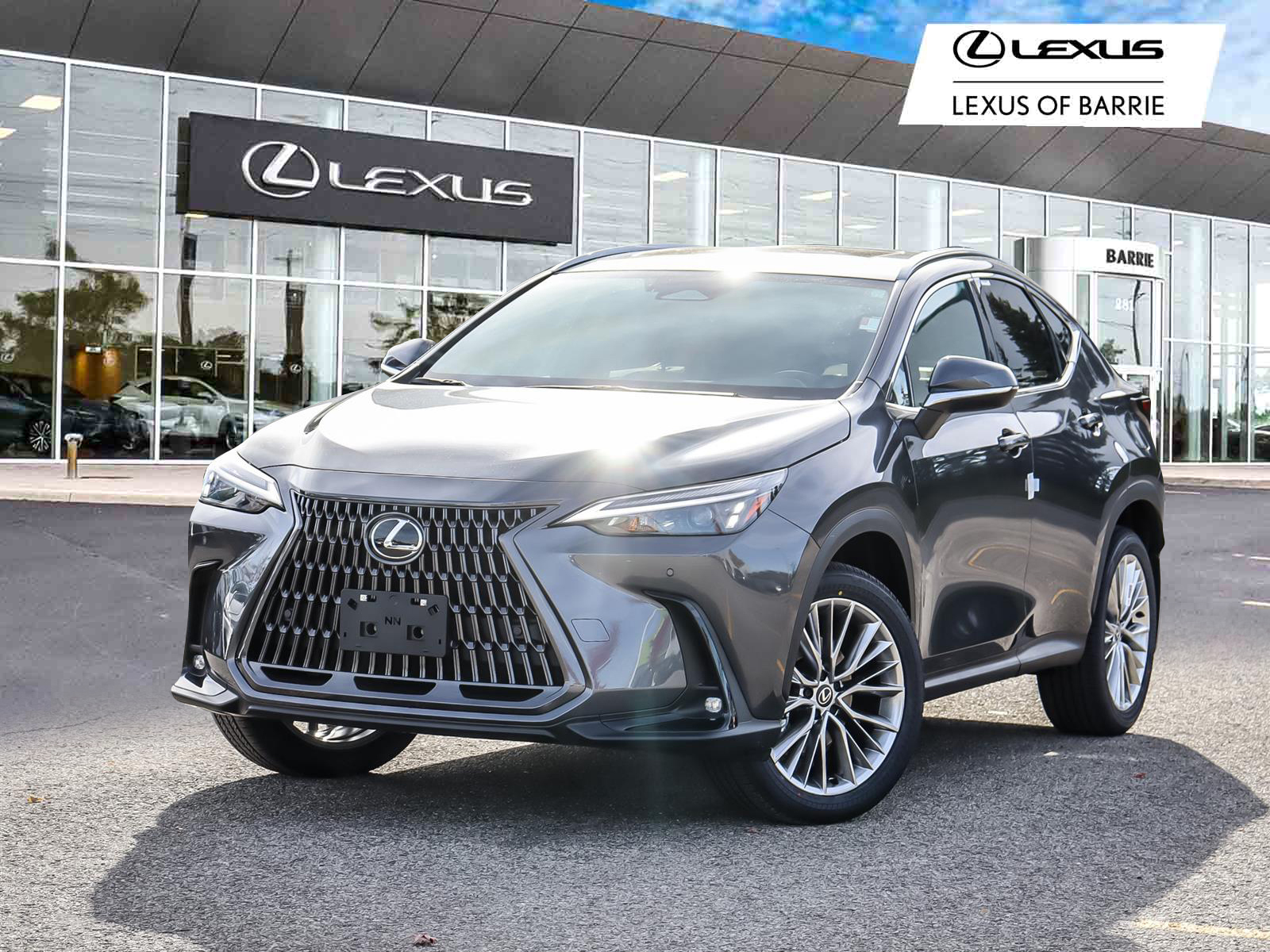 Gray (01L1 Cloudburst Grey) 2026 Lexus NX SUV / Crossover Automatic