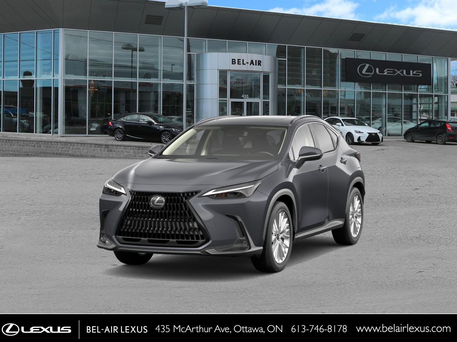 2026 Lexus NX 350 LUXURY - Main View