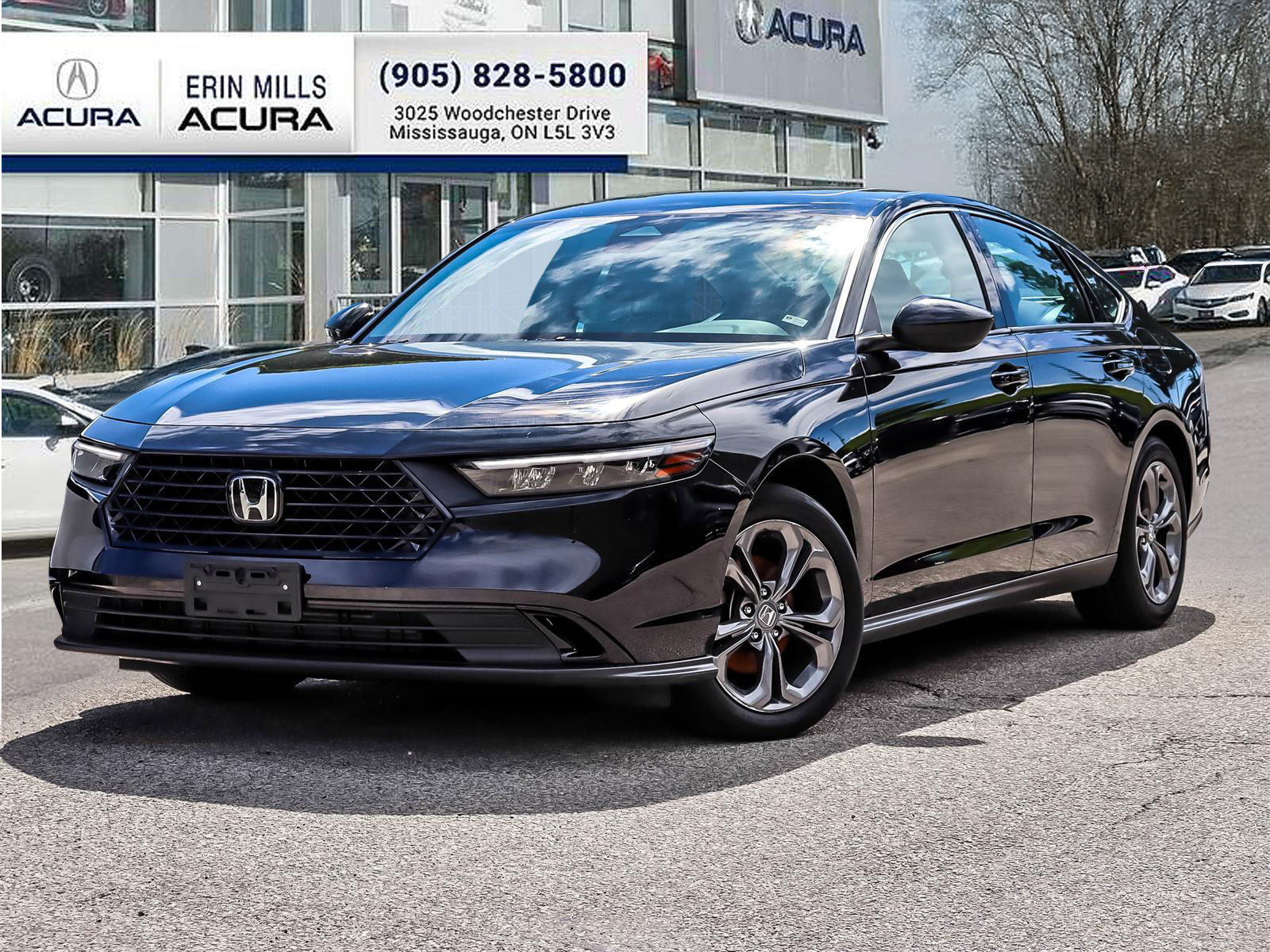 2023 Honda Accord