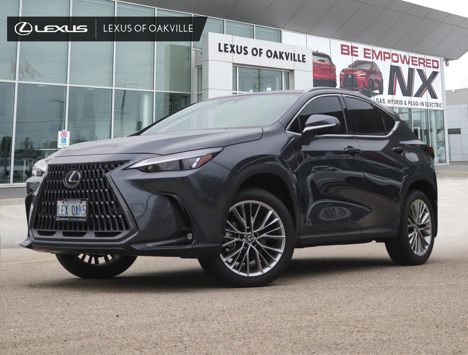 2026 Lexus NX 4dr Awd 350 - Main View