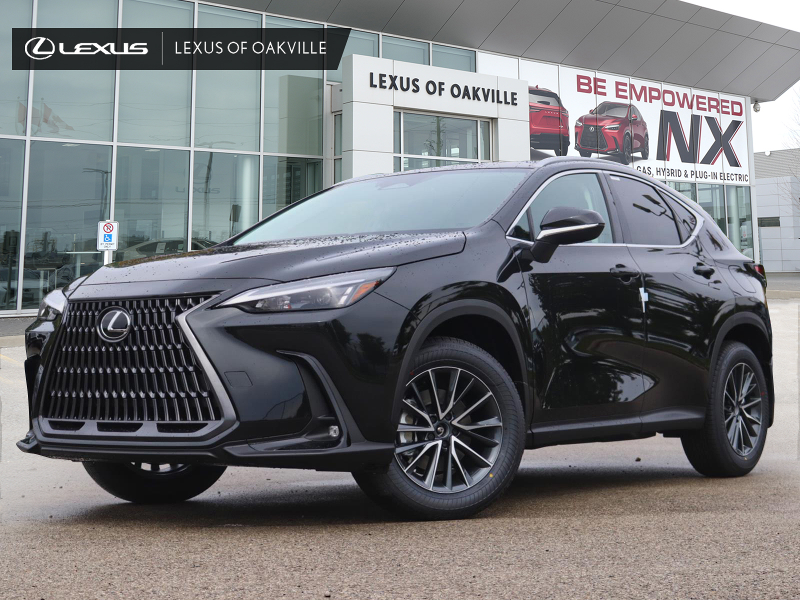 2026 Lexus NX