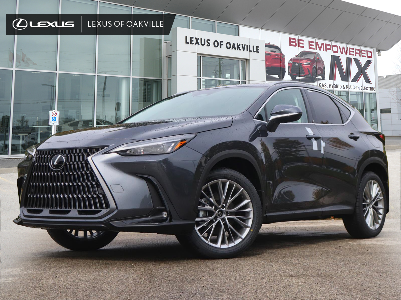 2026 Lexus NX