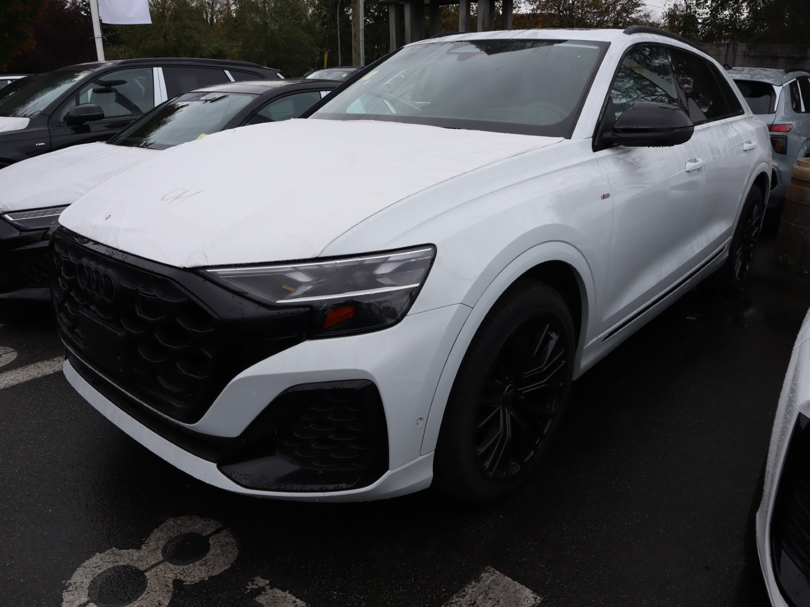 2027 Audi Q8 Technik 55 TFSI quattro - Main View