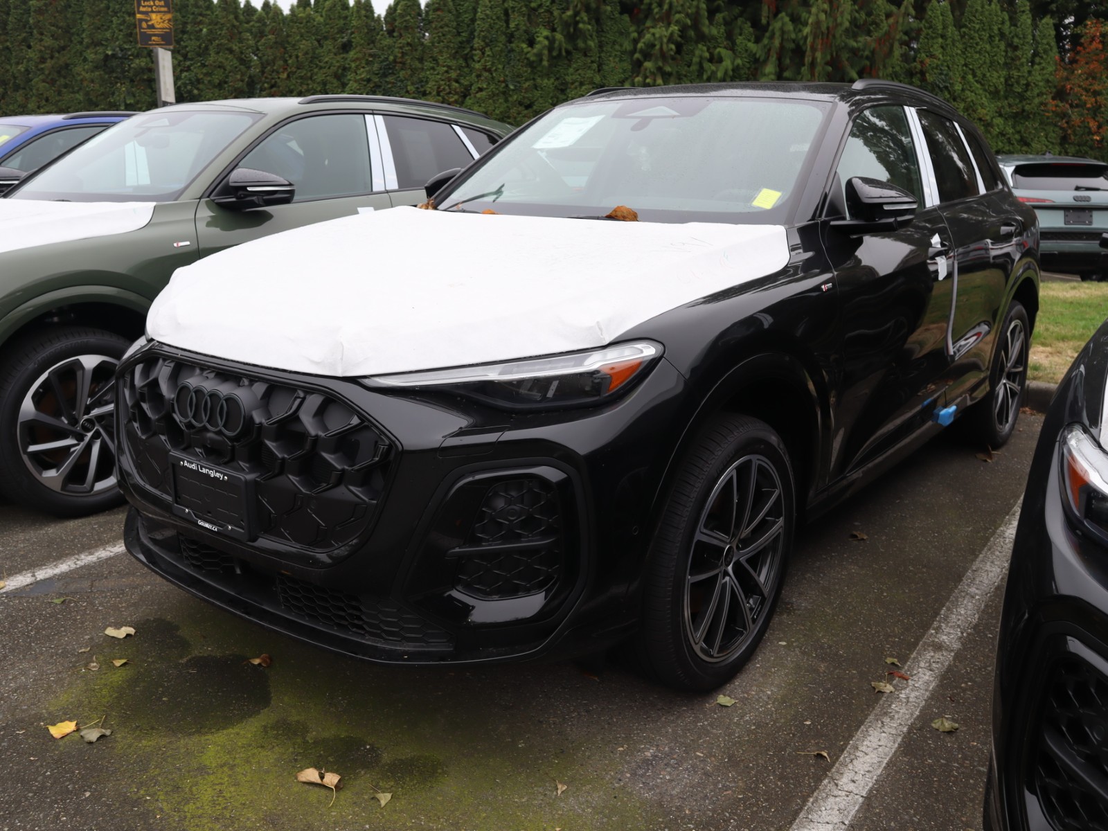 2026 Audi Q5 Progressiv 2.0 TFSI quattro - Main View