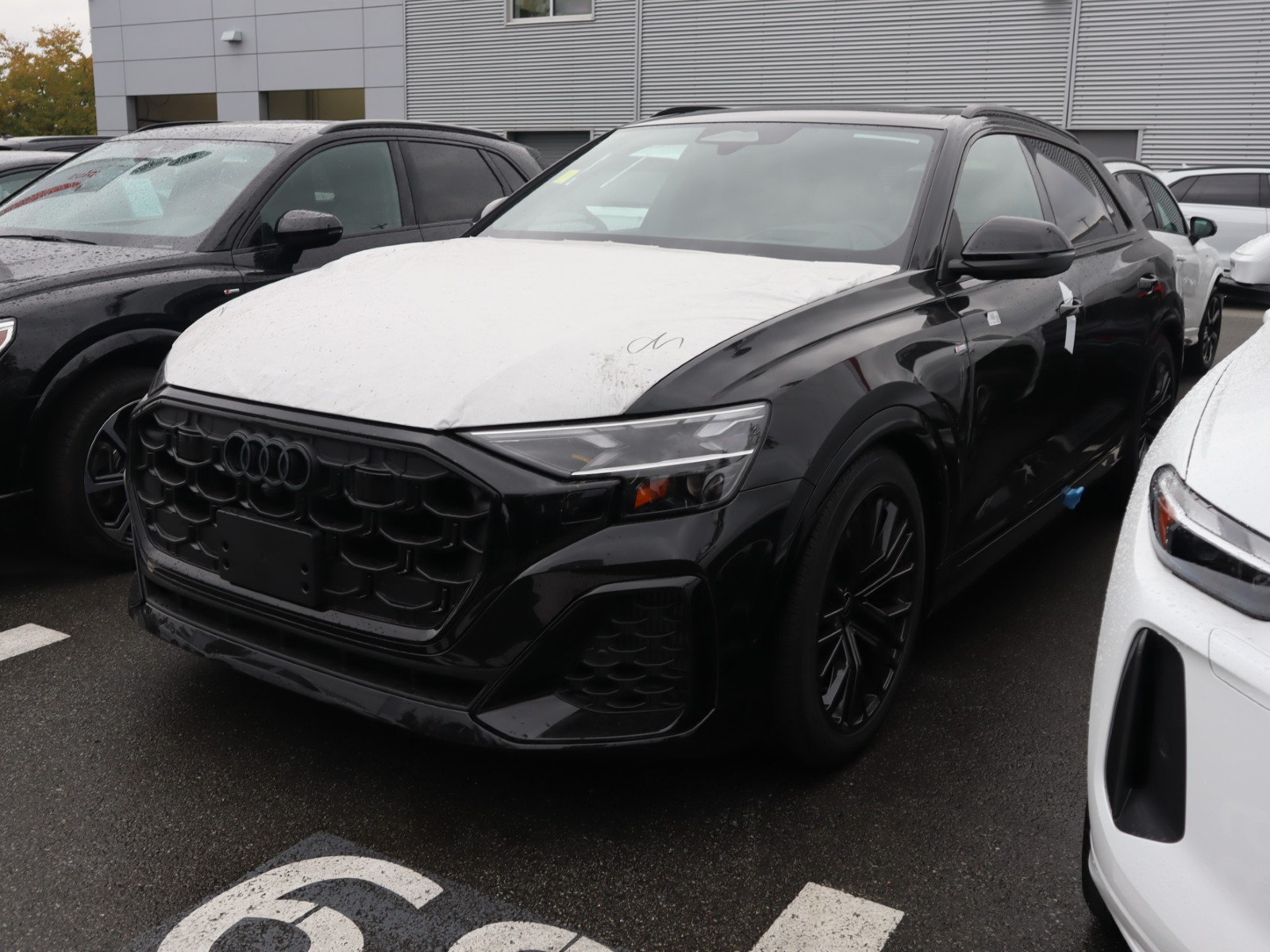 2027 Audi Q8 Technik 55 TFSI quattro - Main View