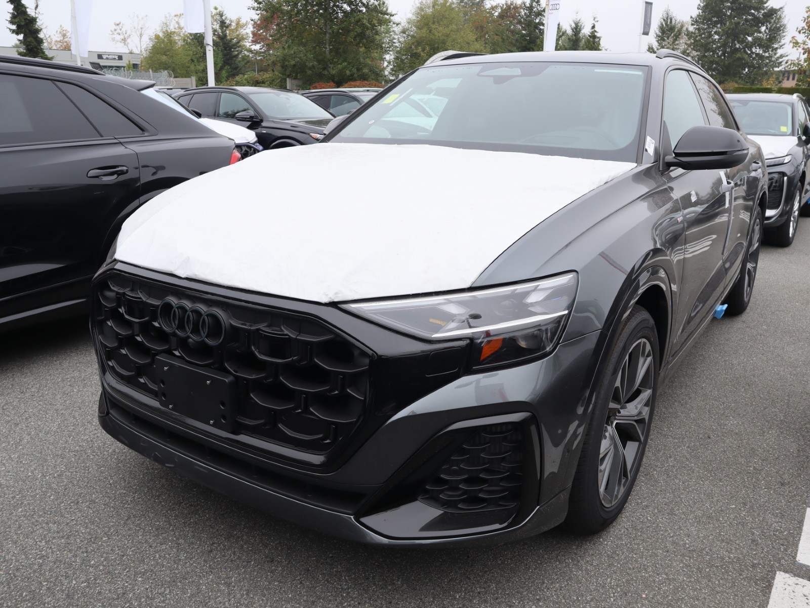 2027 Audi Q8