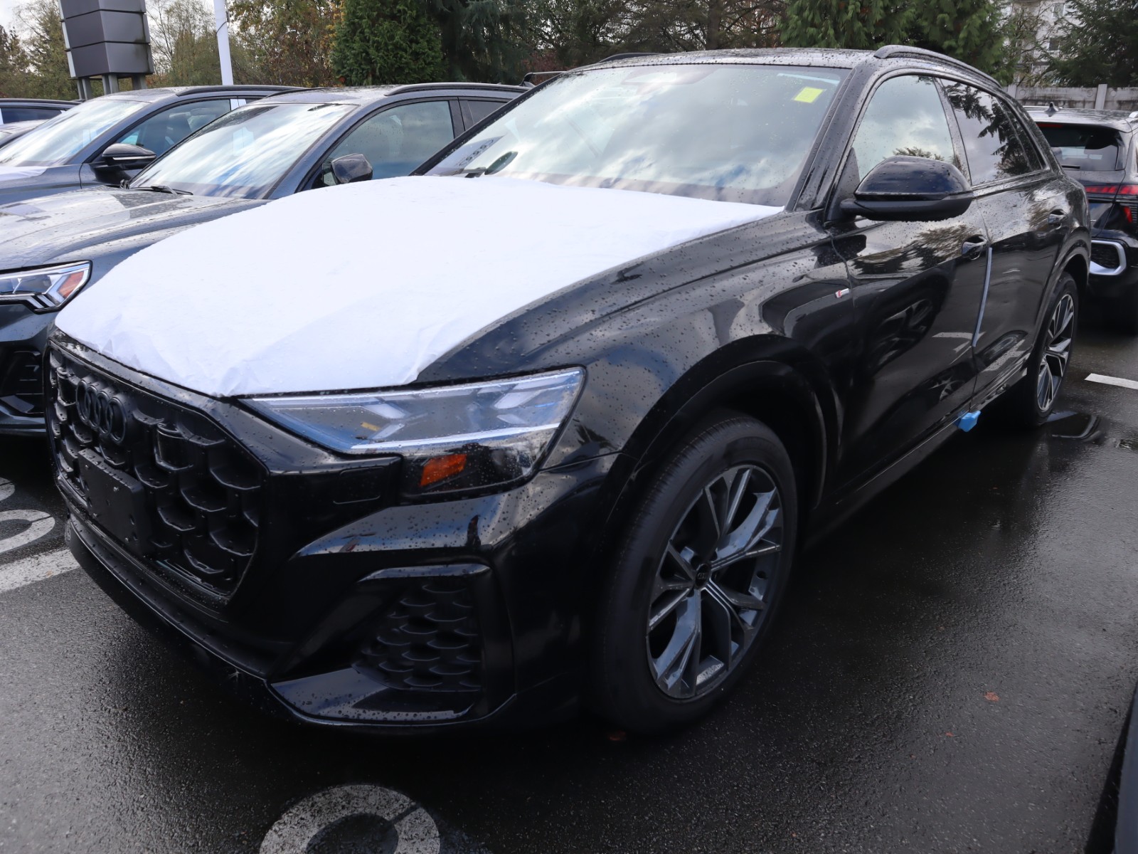 2027 Audi Q8 Technik 55 TFSI quattro - Main View