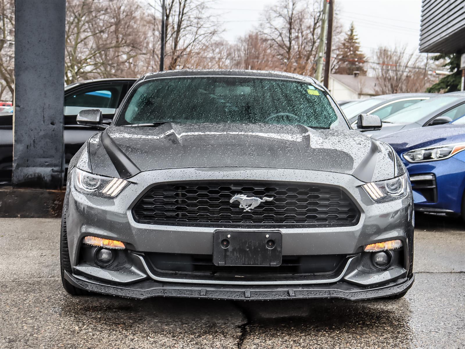 used 2016 Ford Mustang car