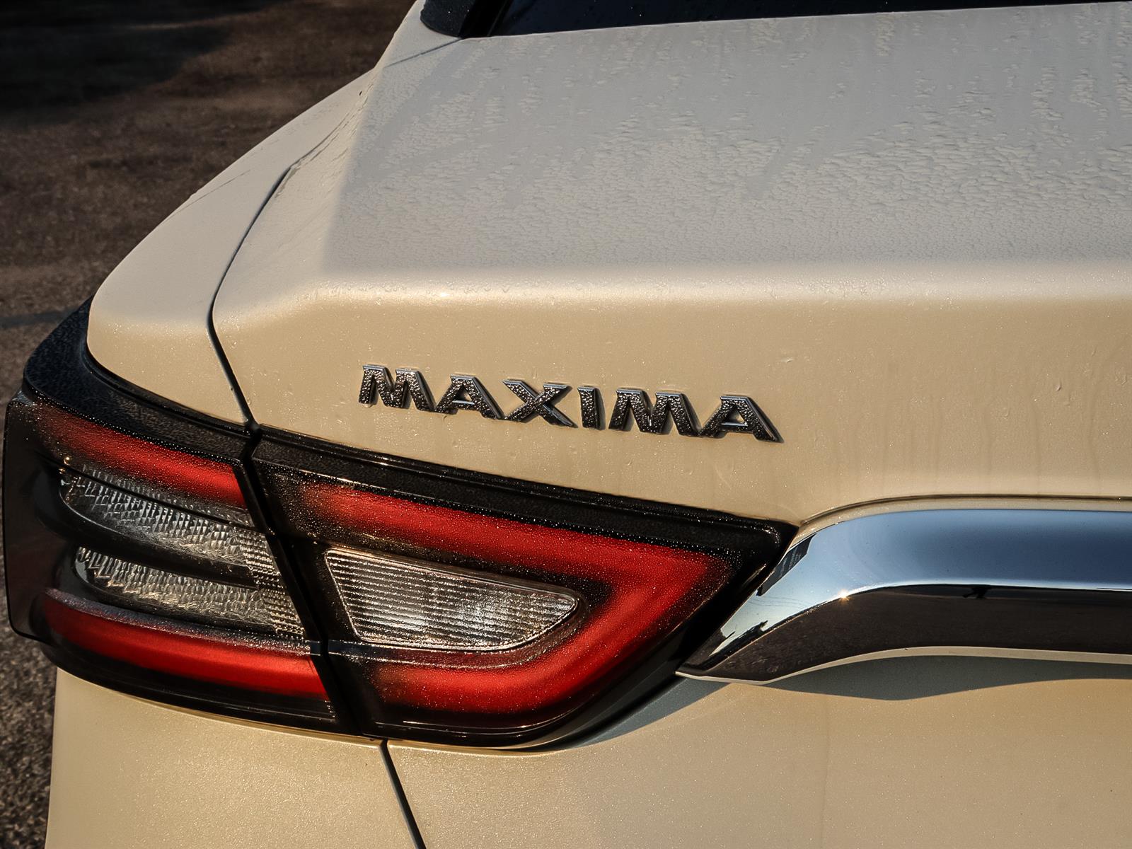 used 2021 Nissan Maxima car